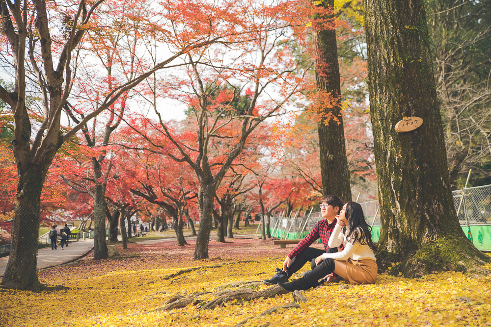 奈良公園