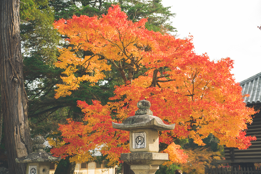 手向山八幡宮