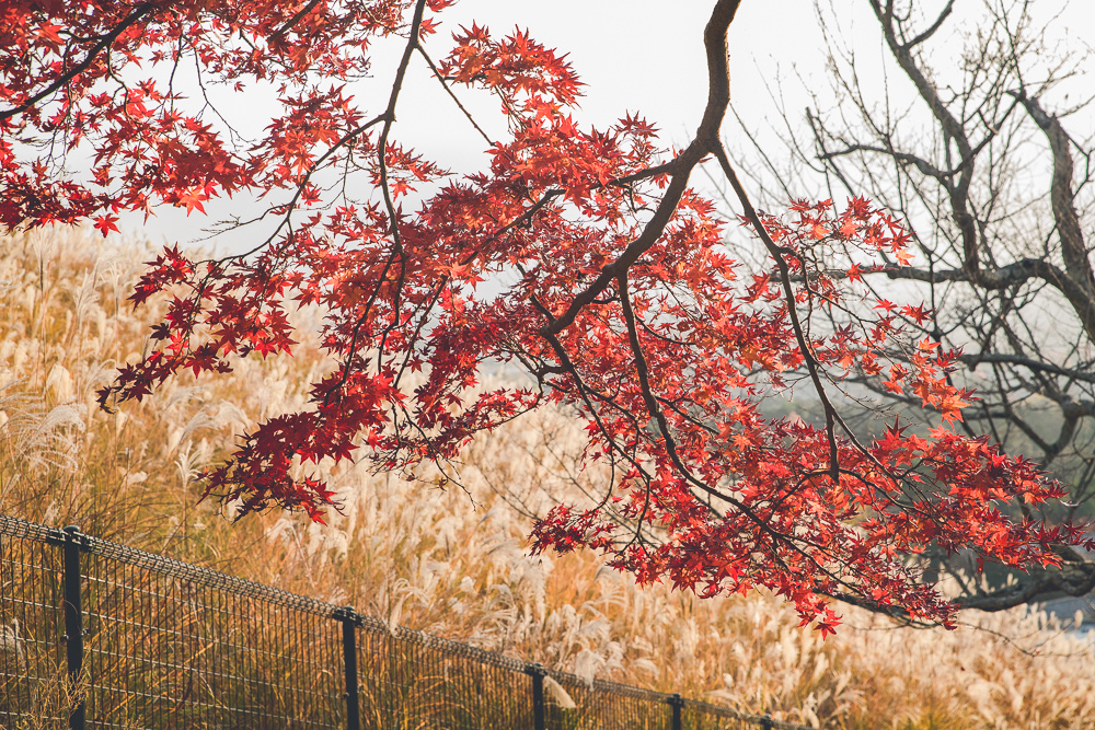 奈良景點