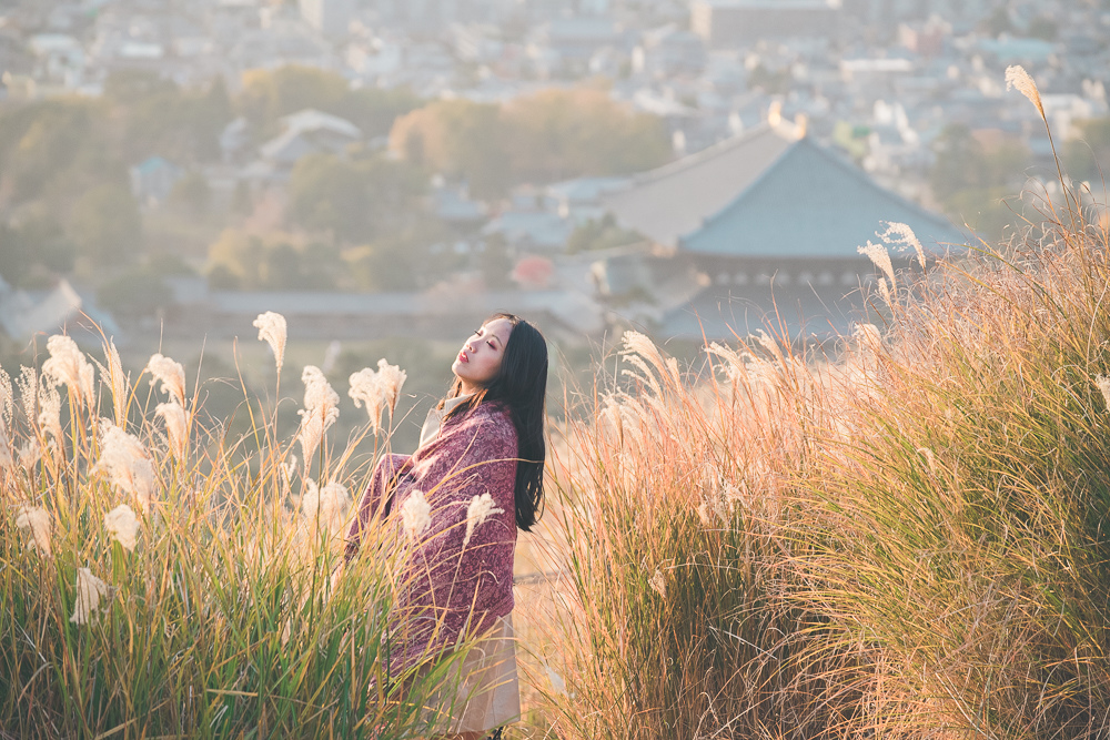 奈良若草山