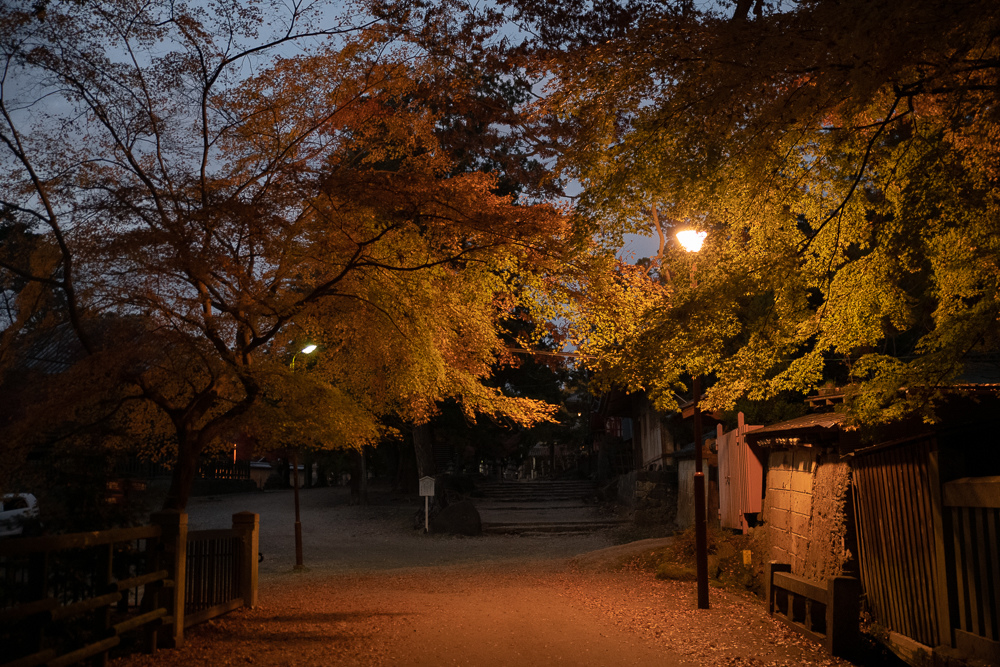 奈良一日遊