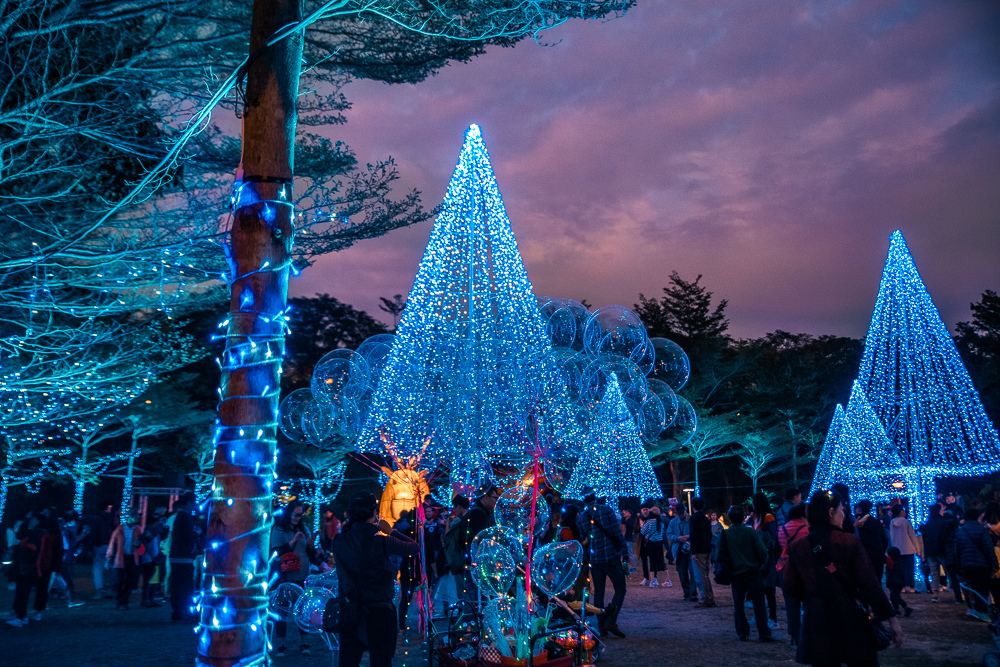 文心森林公園燈會