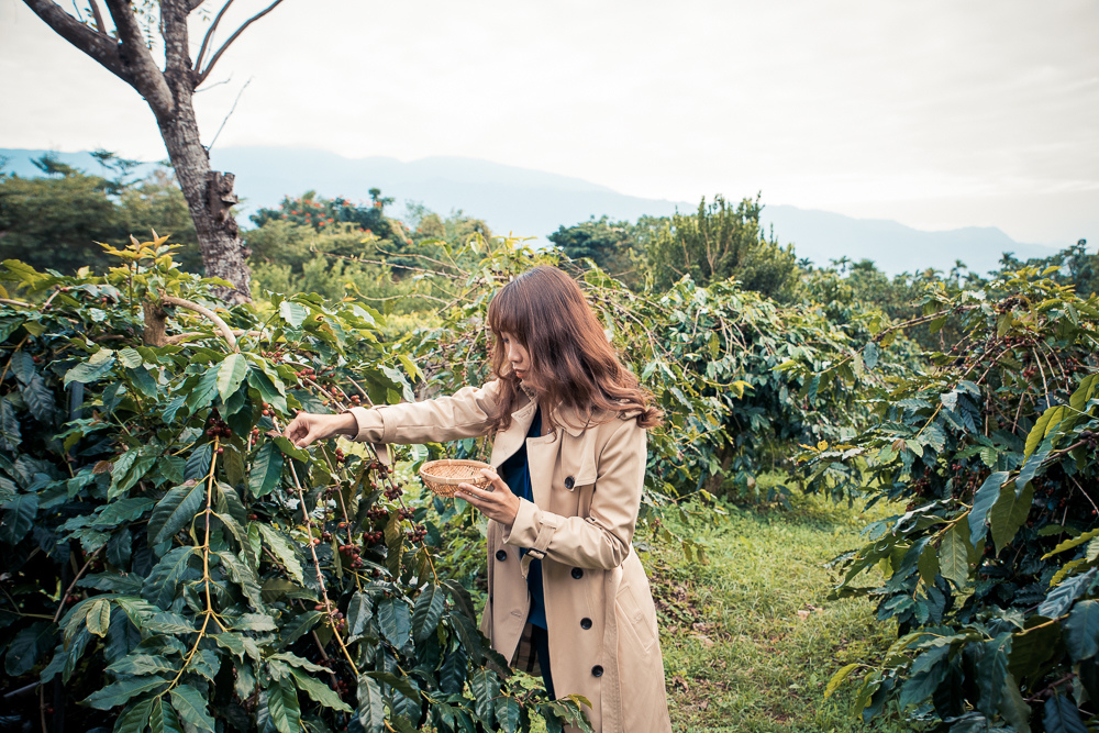 舞鶴茶園公主咖啡
