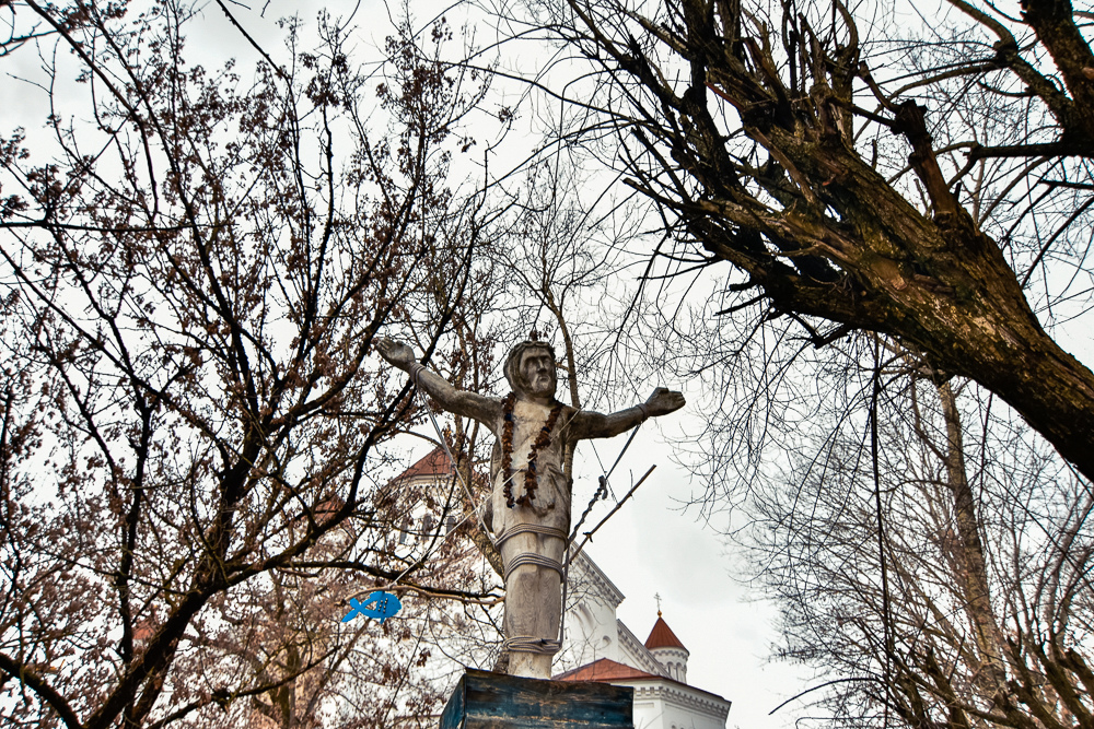 _DSC3939.jpg
