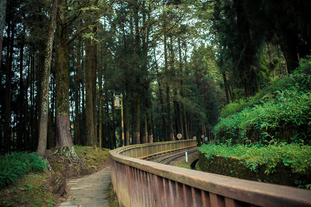 阿里山景點