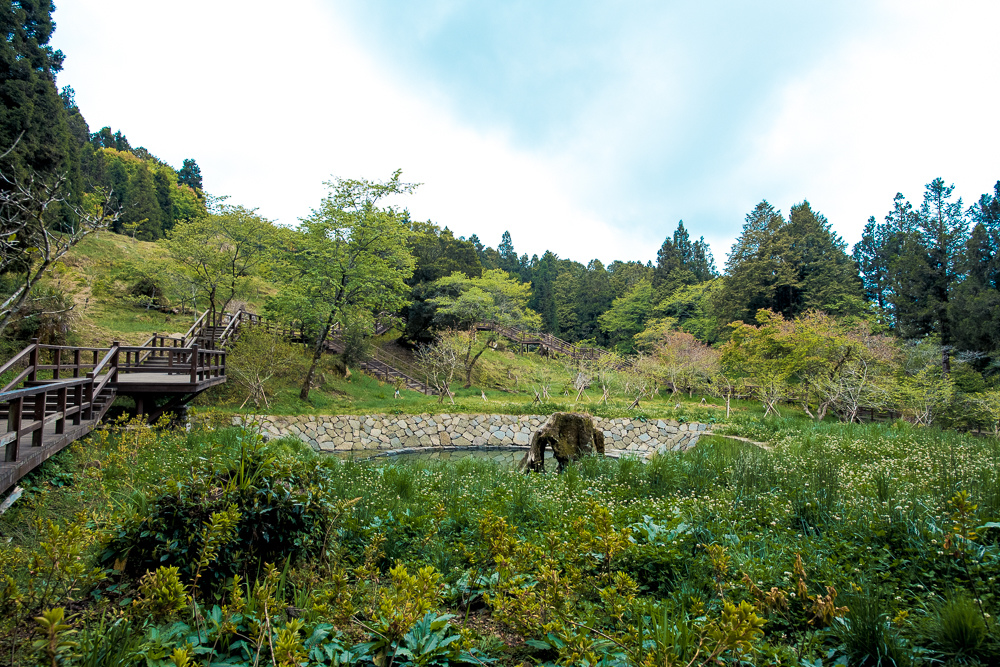 阿里山一日遊