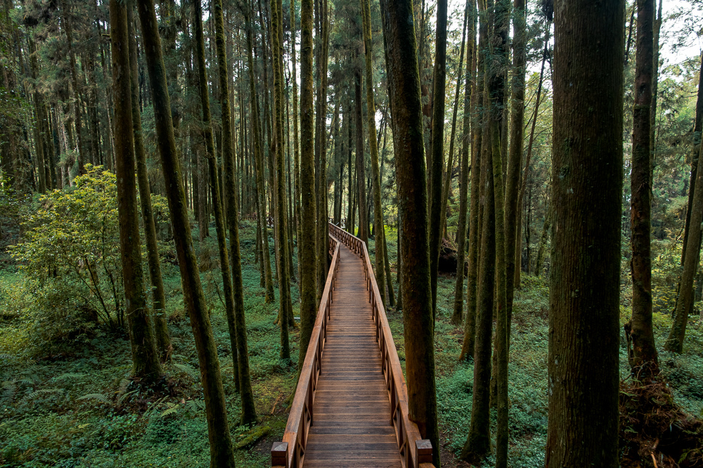 阿里山景點