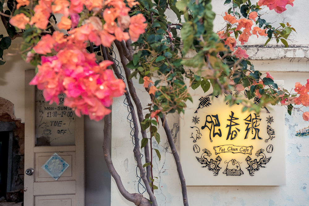 肥春號九重葛