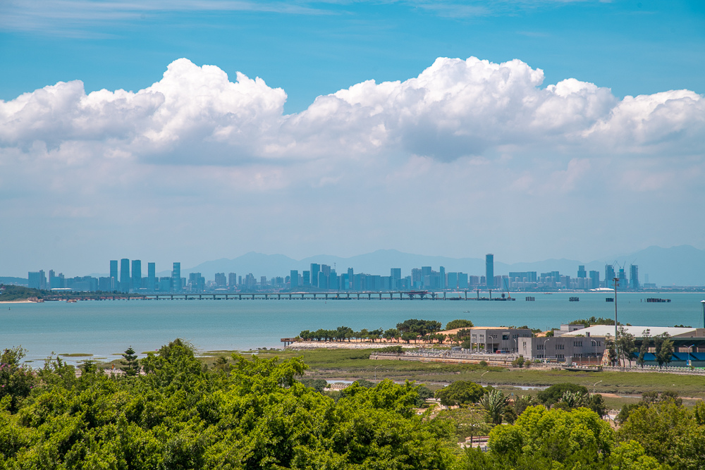 莒光樓觀景台