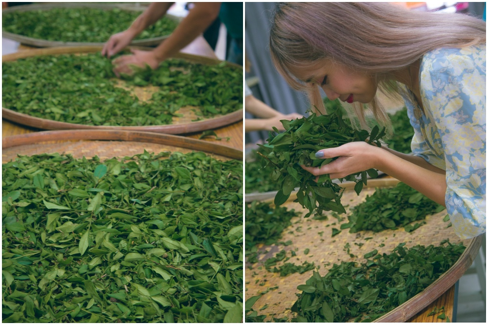 宜紅茶苑茶葉DIY