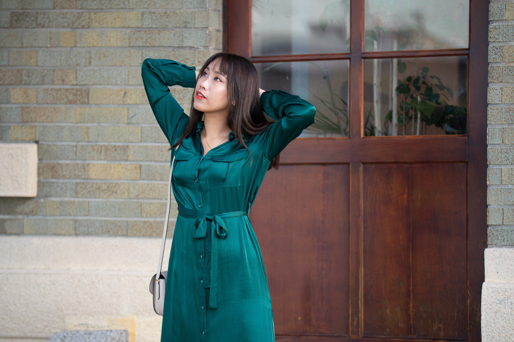L'Academie / The Long Sleeve Shirt Dress