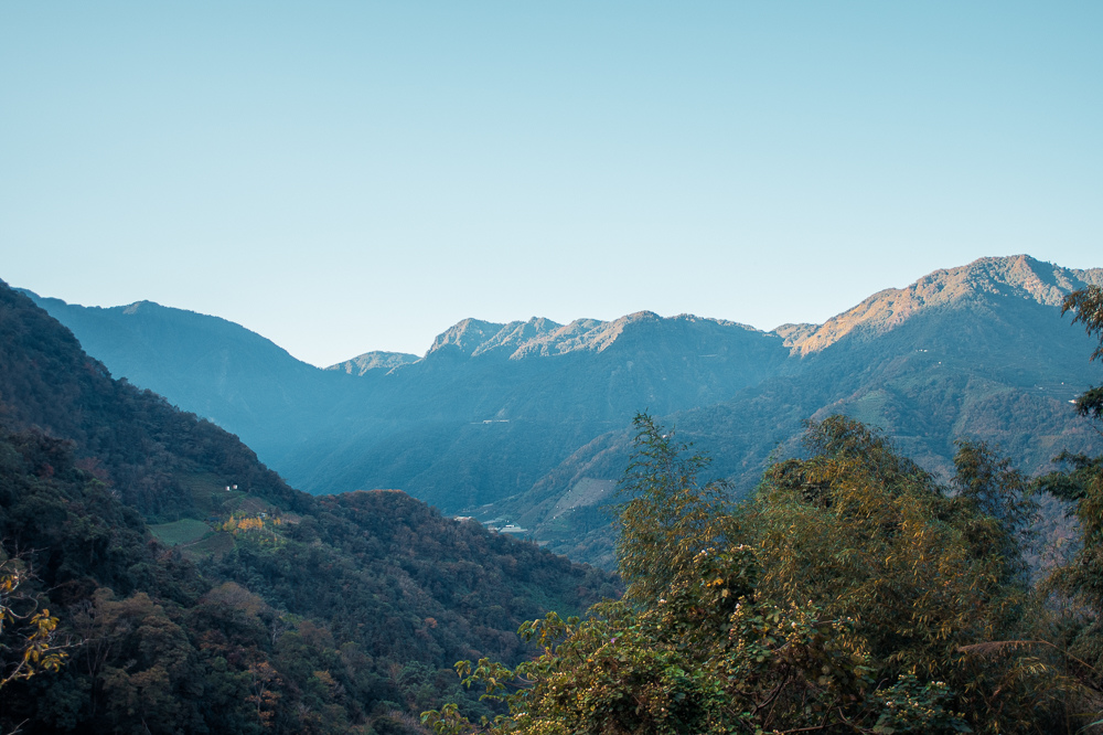 _DSC3954.jpg