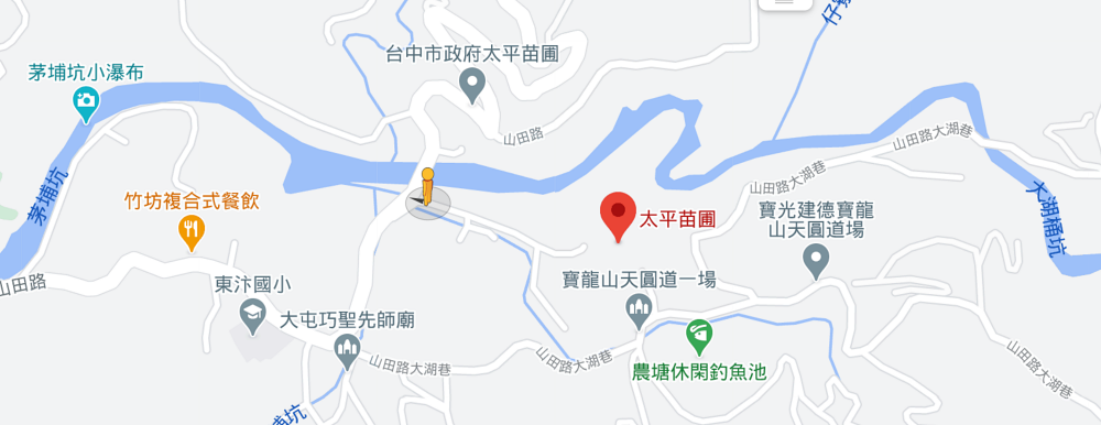 太平苗圃落羽松交通