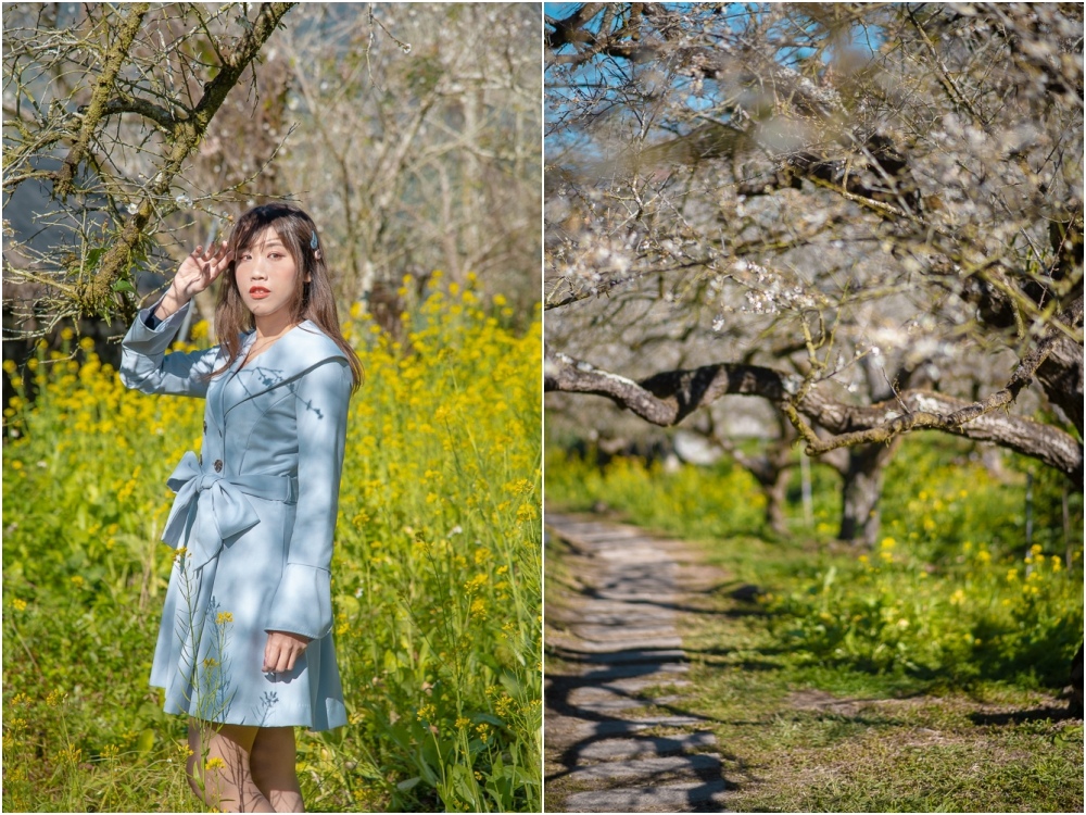 烏松崙石家梅園