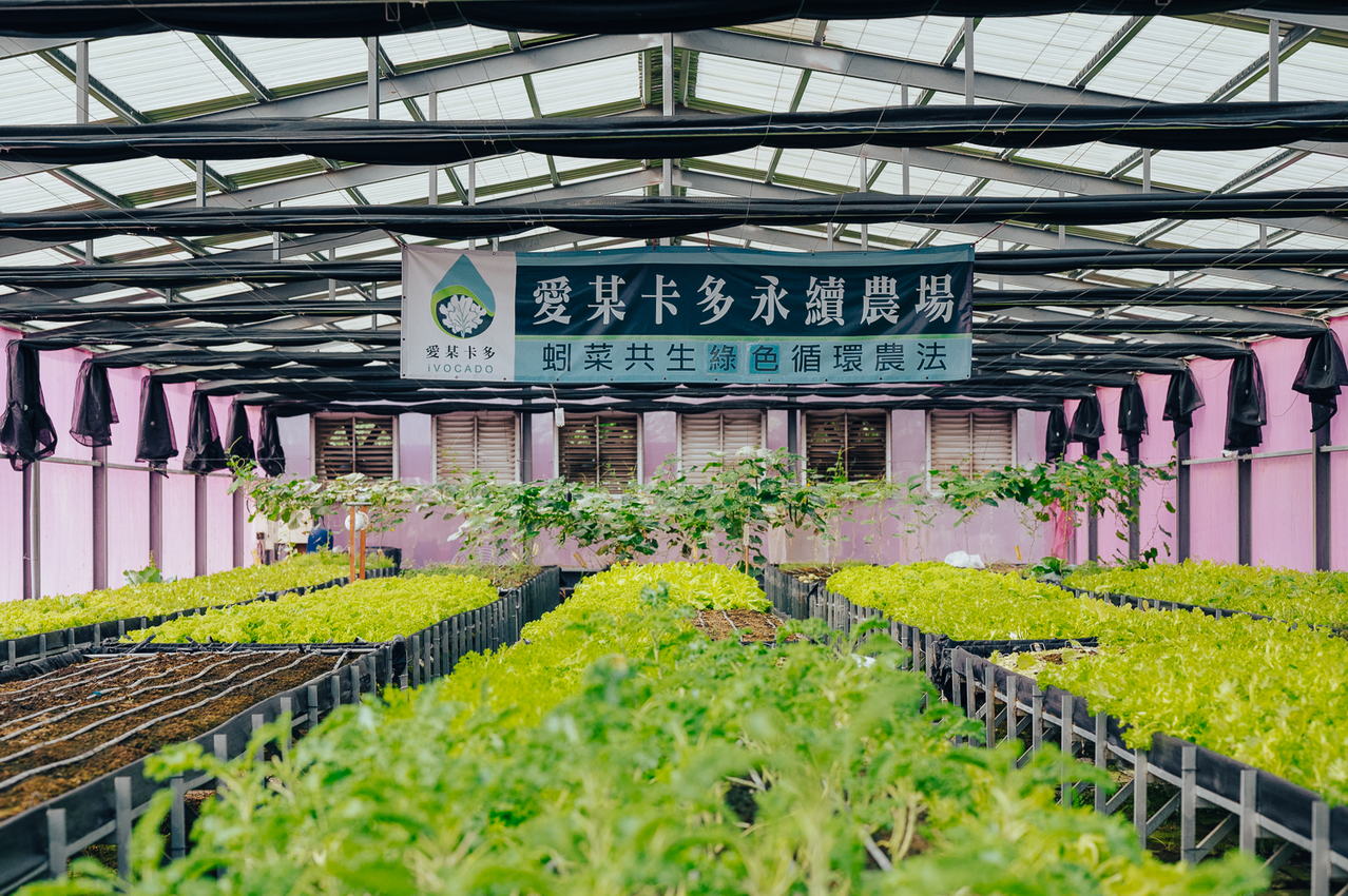 愛某卡多農場
