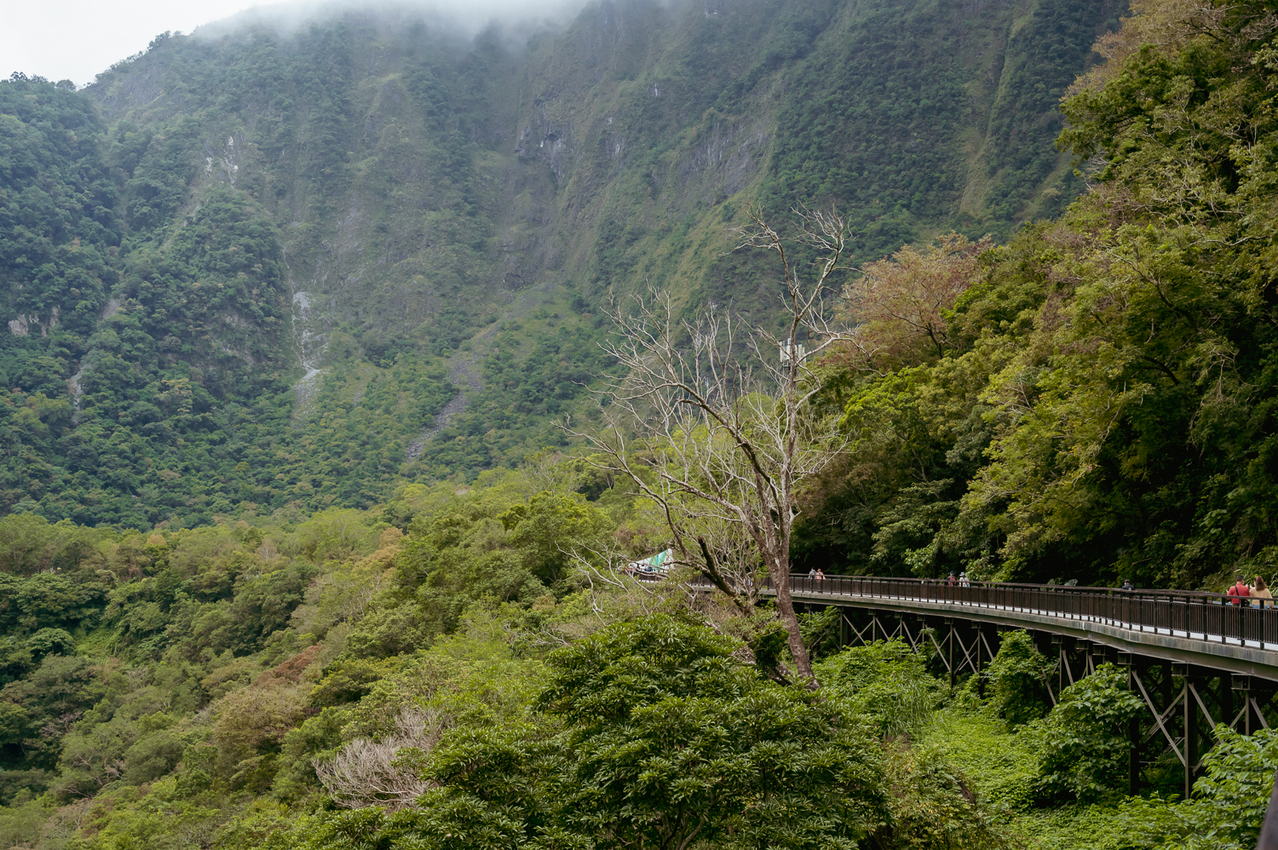 山月吊橋