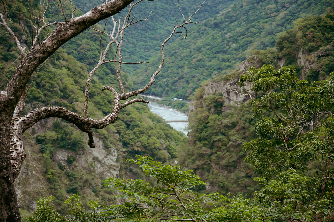 山月吊橋