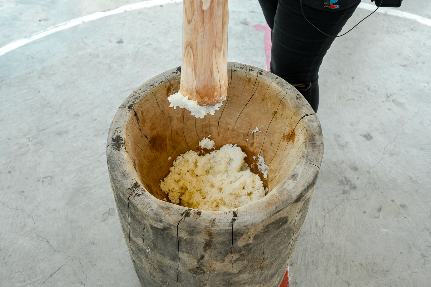 茶山部落一日遊