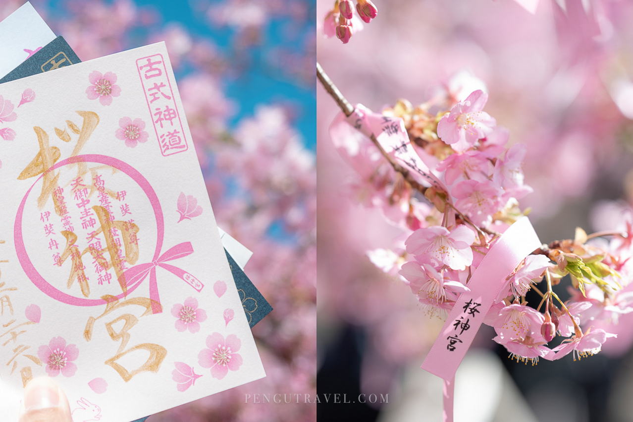 【日本】東京賞櫻景點。櫻神宮 – 河津櫻交織粉色緞帶，夢幻櫻花御守御朱印