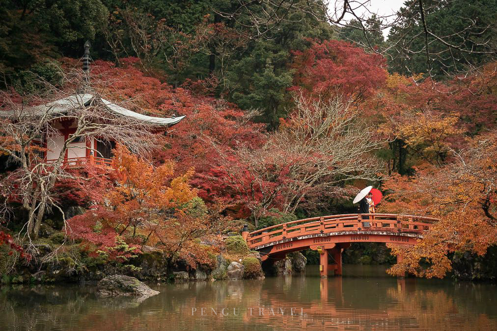 Pengu Travel 的京都自由行質感指南：自由行旅人必讀！2026京都住宿景點美食彙整